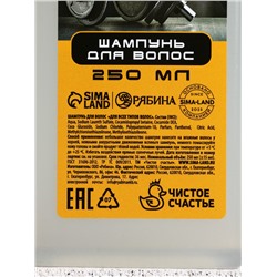 Подарочный набор «Настоящий мужчина», шампунь для волос и гель для душа, 2×250 мл