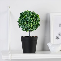 Искусственный цветок в горшке «Толстянка», 8.5×22 см