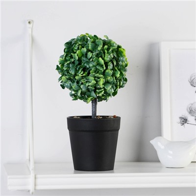 Искусственный цветок в горшке «Толстянка», 8.5×22 см