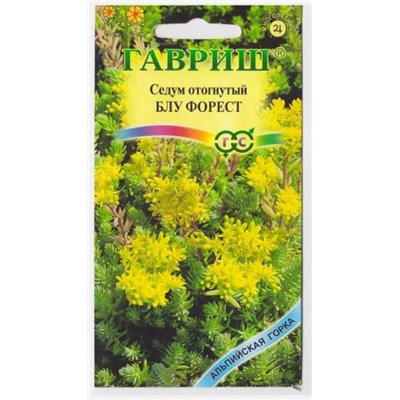 Очиток Блу Форест (Код: 13932)