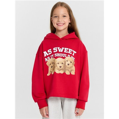 ХУДИ ДЛЯ ДЕВОЧЕК 127965