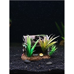 Декор для аквариума «Сокровище», 12×7×10 см