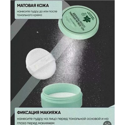 Пудра #23081065