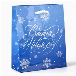 Пакет подарочный новогодний ламинированный «Счастья в Новом году», S 12×15×5.5 см