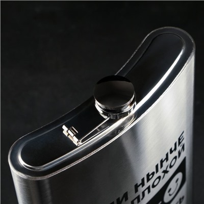 Фляжка ГИГАНТ «По большой», 1920 мл, серебристая