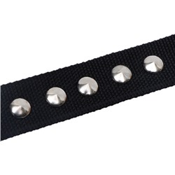 Ошейник клепаный, 48.5×3 см, ОШ 31-40 см, полиэстер, чёрный