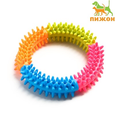 Игрушка жевательная для собак «Кусочек счастья», 12 см, разноцветная