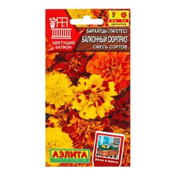 Семена цветов Бархатцы Балконный сюрприз, смесь сортов  Цветущий балкон, Ц/П,7 шт.
