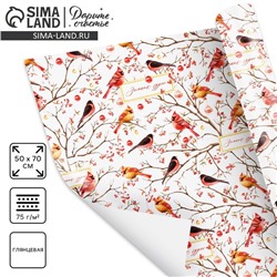 Упаковочная бумага на новый год «Птицы на ветвях», 50×70 см, глянцевая
