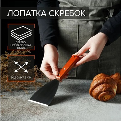 Лопатка - скребок Доляна, 22.5×7 см