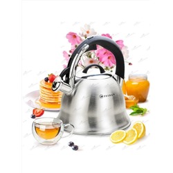 ZEIDAN Чайник Z-4453