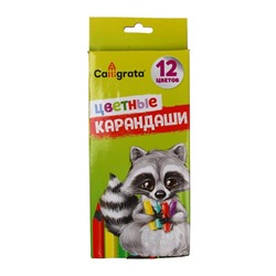 УЦЕНКА Карандаши Calligrata, цветные, 12 цветов