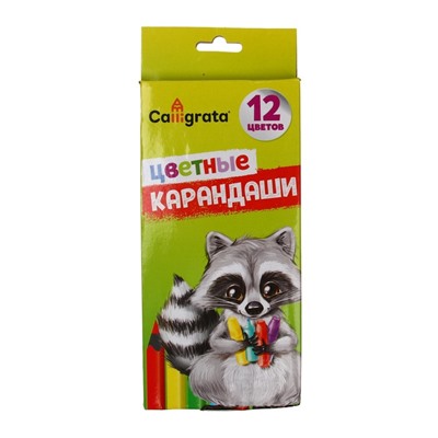 УЦЕНКА Карандаши Calligrata, цветные, 12 цветов