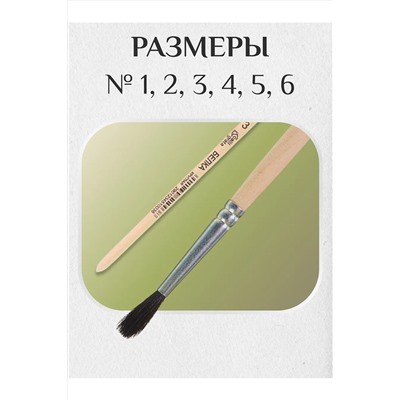 Набор кистей белка 60920 НАТАЛИ, 1128479
