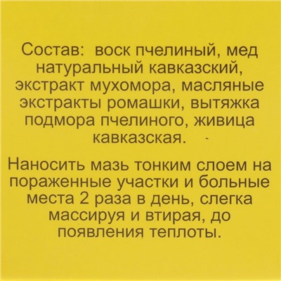 Мазь «Монастырская Живица с Мухомором». Ранозаживляющая. Стекло. 28 мл.