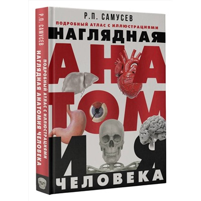 АСТ Самусев Р.П. "Наглядная анатомия человека. Подробный атлас с иллюстрациями"