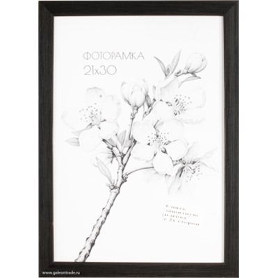 Фоторамка 21х30 с акриловым стеклом / 2004A-012J /уп10