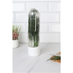 Контейнер для хранения зелени в холодильнике 25 см, пластик / 881-010 /