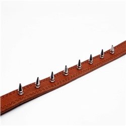 Ошейник кожаный «Строгий шип», 70×3.5 см, ОШ 45-60 см, коричневый