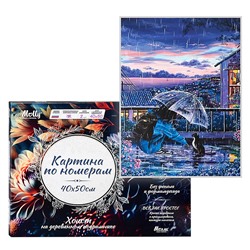 Картина по номерам 40х50 "Прогулка под дождем" (26 цветов)
