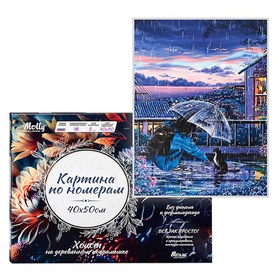 Картина по номерам 40х50 "Прогулка под дождем" (26 цветов)