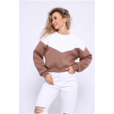 Толстовка 21011 (Коричневый)