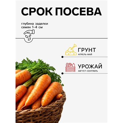 Семена Морковь «Нантская 4», 2 г, «Агросс»