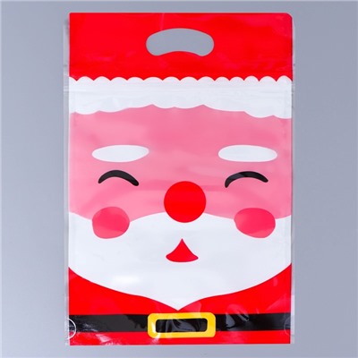 Пакет подарочный новогодний, с zip-lock застежкой, «Дед Мороз», 15×23±1 см