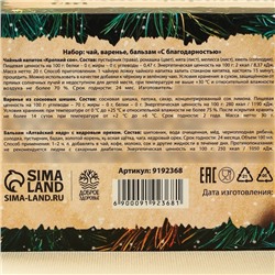 Подарочный набор новогодний«Будьте здоровы»: чай 20 г, варенье из сосновых шишек 30 г, бальзам 100 мл.