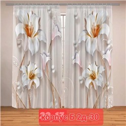 Портьеры с принтом, 3*2,6 см (без тюля)