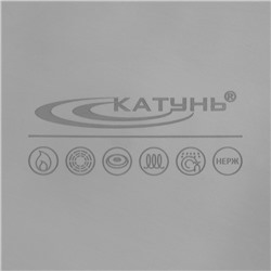 Котёл Катунь «Общепит», 50 л, d=50 см, h=29 см, капсульное дно, индукция, нержавеющая сталь