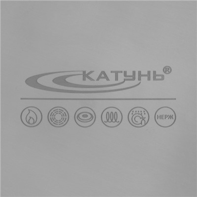 Котёл Катунь «Общепит», 50 л, d=50 см, h=29 см, капсульное дно, индукция, нержавеющая сталь