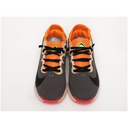Кроссовки Nike Pegasus Trail 2
