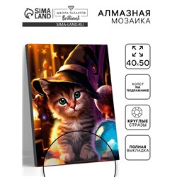 Алмазная вышивка полное заполнение «Котенок в шляпе», на раме, 40×50 см