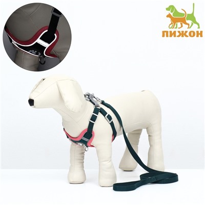 Комплект Sport+, М, поводок 120×1.5 см, ОШ 44-48 см, ОГ 51-60 см, розово - чёрный