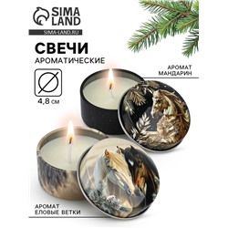 Свечи в железной банке «Лошади», аромат мандарин и еловые ветки, диам 4.8 см, 2 шт.