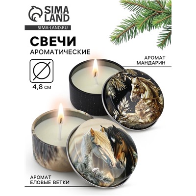 Свечи в железной банке «Лошади», аромат мандарин и еловые ветки, диам 4.8 см, 2 шт.