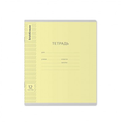 Тетрадь  12л  1 класс в две линии с частыми наклонными "Классика Visio" ассорти 43334 ErichKrause