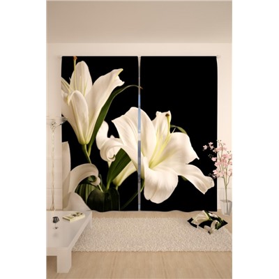 Фотошторы 10837 (Черный)