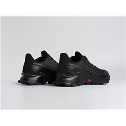 Кроссовки Salomon Alphacross 5 GTX