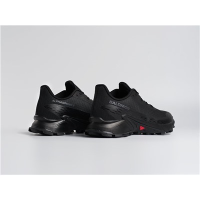 Кроссовки Salomon Alphacross 5 GTX