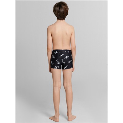 ТРУСЫ КУПАЛЬНЫЕ ДЛЯ МАЛЬЧИКОВ 703362