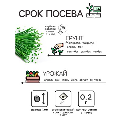 Семена Лук шнитт "Чемал", 0,2 г