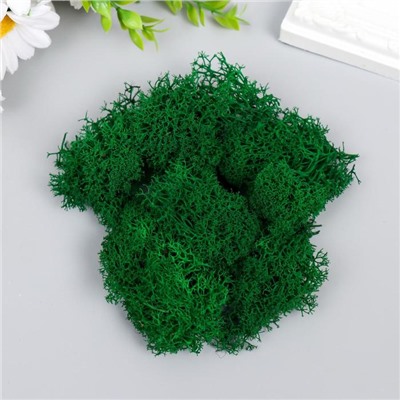 Мох стабилизированный «Ярко-зелёный» 45 г (±5 г)