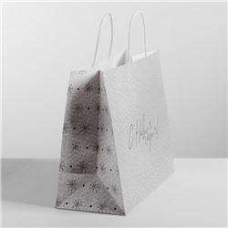Пакет подарочный новогодний крафт «Чудесный праздник», 25×22×12 см