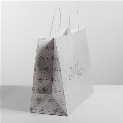 Пакет подарочный новогодний крафт «Чудесный праздник», 25×22×12 см