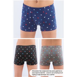 Трусы на мальчика №GL66