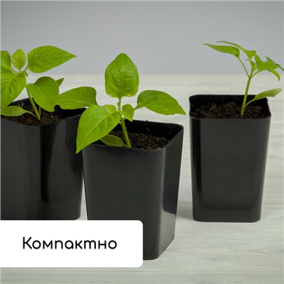 Набор для рассады: стаканы по 300 мл (12 шт.), поддон 45 × 18 см, МИКС, Greengo
