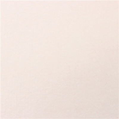 Плед «Этель», 180×200 см, корал-флис 220 г/м², молочный