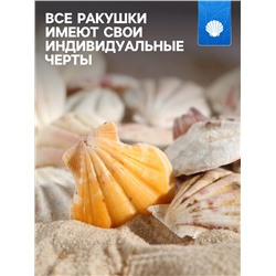 Набор ракушек, 4 - 5 см, 100 г